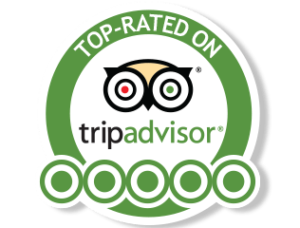 trip Advisor Top-rated on logo in color